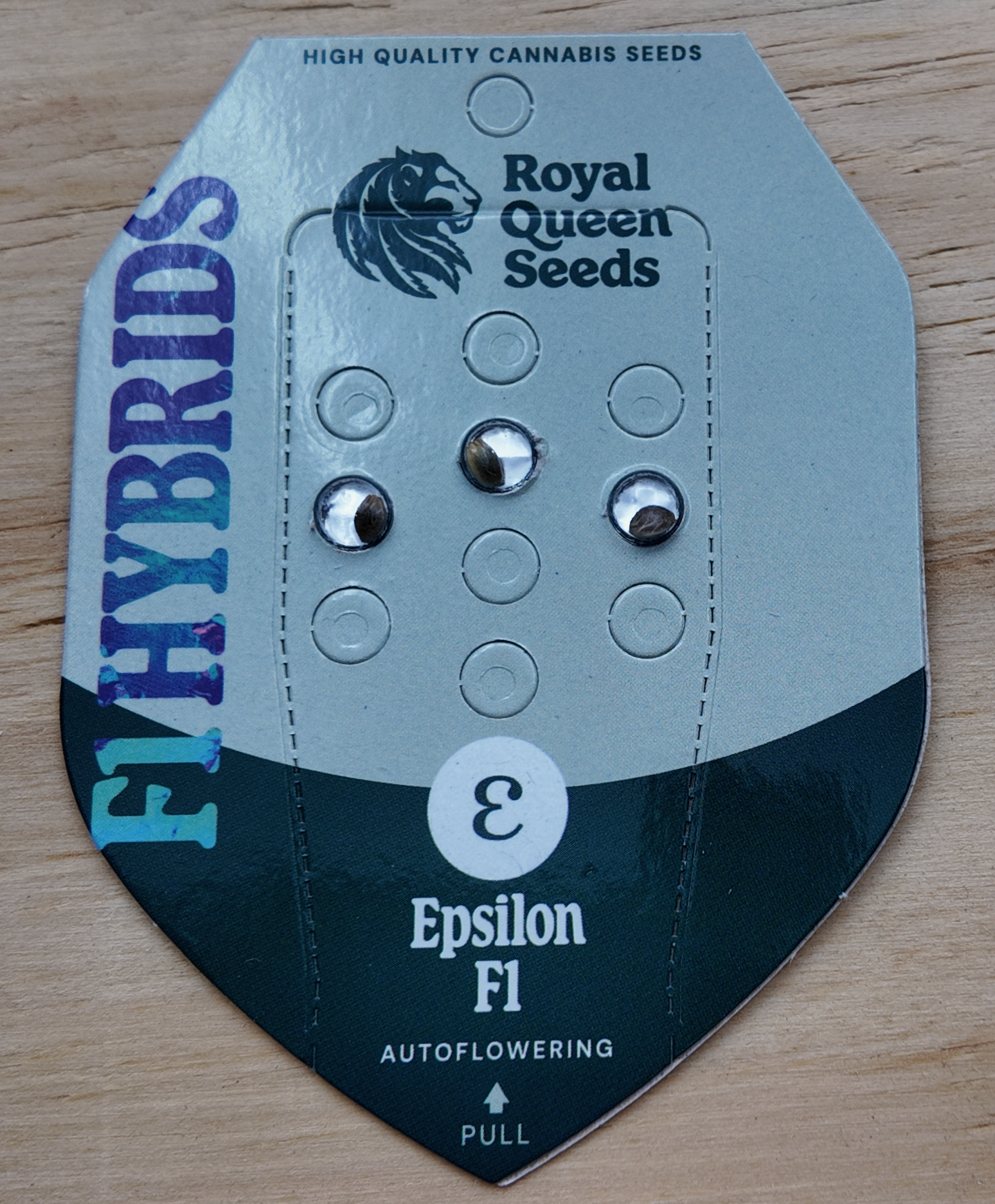 Drei Epsilon F1 Autoflower-Samen im Blister von Royal Queen Seeds – F1-Hybrid für den Balkon-Grow 2026